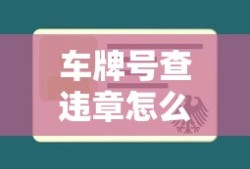 车牌号查违章怎么查询