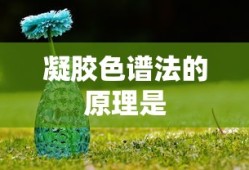凝胶色谱法的原理是