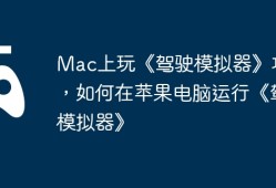 Mac上玩《驾驶模拟器》攻略，如何在苹果电脑运行《驾驶模拟器》