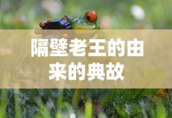 隔壁老王的由来的典故