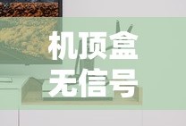 机顶盒没有信号怎么办？解决方法详解