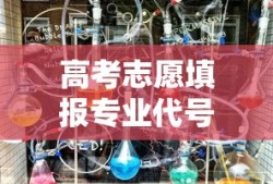 高考志愿填报，专业代号解析指南