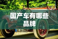 国产车有哪些品牌