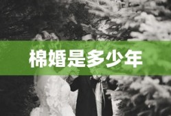 棉婚是多少年