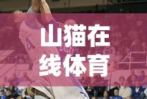山猫在线体育直播篮球
