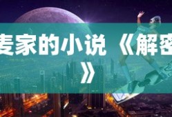 麦家的小说 《解密》