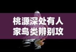 桃源深处有人家鸟类辨别攻略是什么？