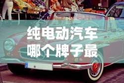 纯电动汽车哪个牌子最好质量最好