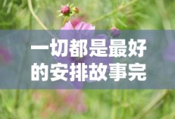 一切都是最好的安排故事完整版