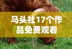步步惊心电视剧结局什么意思