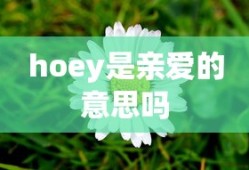 hoey是亲爱的意思吗