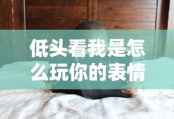 低头看我是怎么玩你的表情包