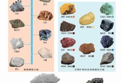 cctv5今晚直播节目表