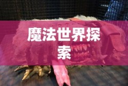 探索魔法世界，玩转哈利波特手游的指南