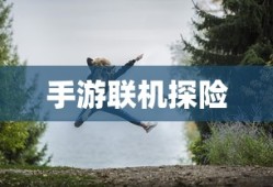 手游联机探险，探索无尽游戏世界的新纪元