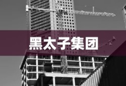 黑太子集团