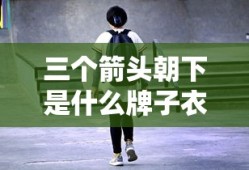 三个箭头朝下是什么牌子衣服