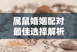 风月传奇手游版，经典重现，传奇再续