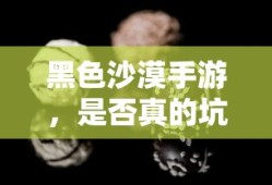 黑色沙漠手游，玩家是否真的遭遇了坑局？