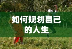规划人生的步骤与策略