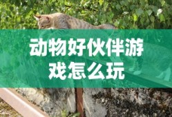 动物好伙伴游戏怎么玩