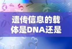 遗传信息的载体是DNA还是染色体