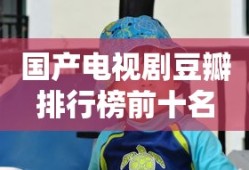 国产电视剧豆瓣排行榜前十名