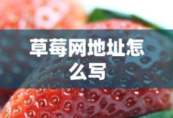 草莓网地址怎么写