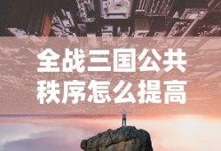 全战三国公共秩序怎么提高
