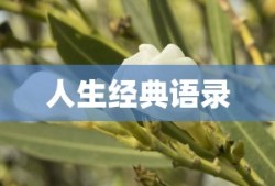 与君相识，人生的经典语录精选