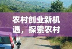 农村创业新机遇，探索黄金之路的农村生意之道