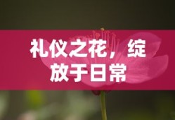 神奇宝贝3ds兑换码大全
