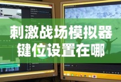 刺激战场模拟器键位设置在哪