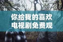 你给我的喜欢电视剧免费观看全集