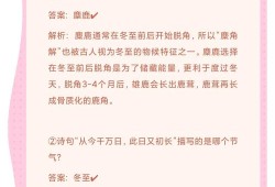 四分管内径尺寸解析