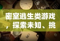 密室探险，智慧与勇气的冒险之旅