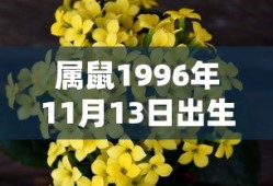英魂之刃手游英雄排名榜