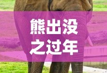 我欲封天百度百科