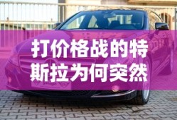 打价格战的特斯拉为何突然涨价m