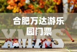 合肥万达游乐园门票
