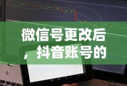 单机版王者荣耀全皮肤