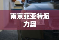 南京菲亚特派力奥