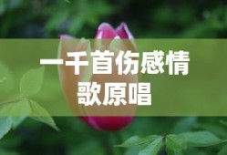 一千首伤感情歌原唱