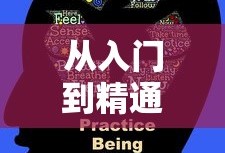LOL手游英雄全解析，从入门到精通