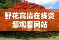 野花高清在线资源观看网站