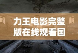 力王电影完整版在线观看国语版