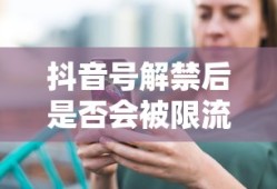后置定语的用法详解