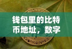 数字货币时代的财富密码，钱包里的比特币地址