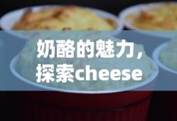 奶酪的魅力，探索cheese的中文意思与丰富美食文化