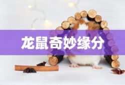 仙纪手游